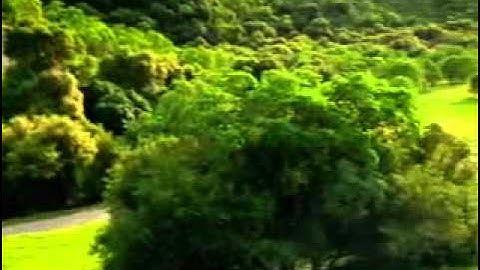 RE: Voltz - Part 2 - Steel a Problem