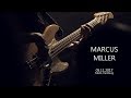 MARCUS MILLER in Hamburg, 05.11.2017 (full concert)