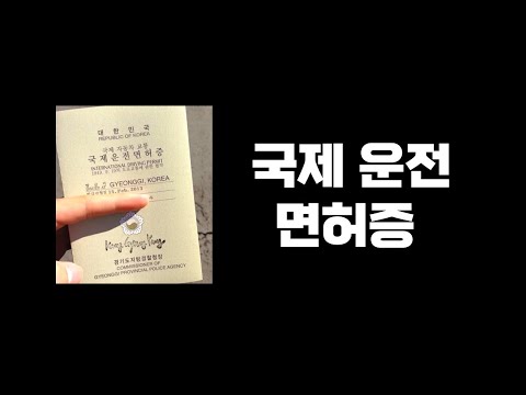 국제운전면허증 온라인 발급 방법 신청하는법 나름꿀팁 공유 