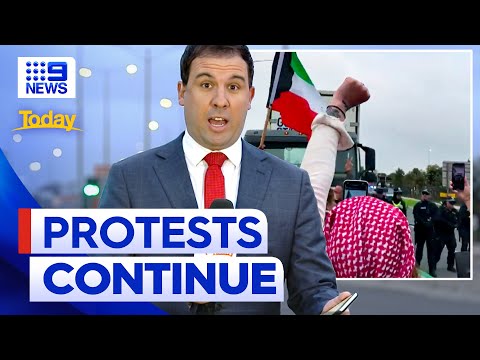 Pro-palestinian protesters rally outside cargo port | 9 news australia