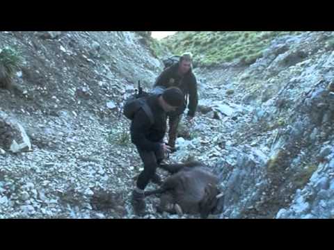 Mike Wardell's New Zealand Tahr Hunt - May 2012