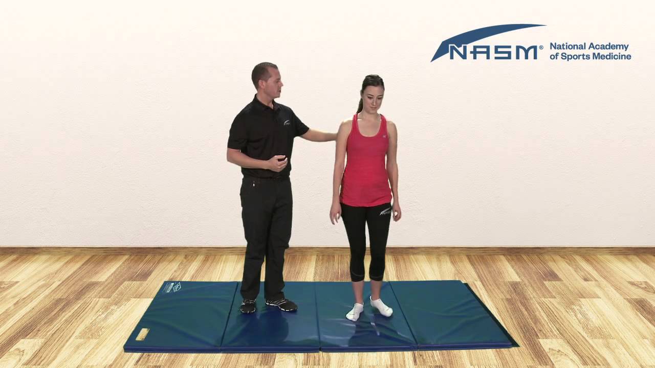 Overactive and Underactive Muscles: Anterior Pelvic Tilt - YouTube