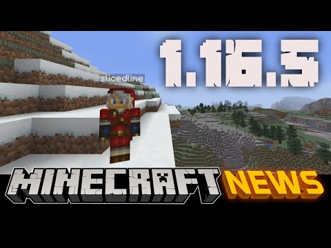 What&rsquo;s New in Minecraft Java Edition 1.16.5?