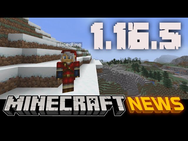 Minecraft Java Edition 1.16.5