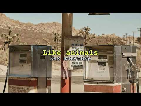 Maroon 5 – Animals (lyrics) + rus sub ♥