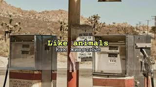Maroon 5 – Animals (lyrics) + rus sub ♥