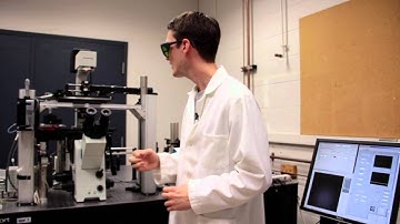 Optical Tweezers, A Tractor Beam for Studying Small Objects