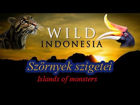 Vad Indonézia (2rész)  Szörnyek szigetei