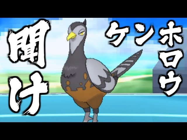 ポケモンusum 超不遇 最弱序盤鳥ケンホロウを救いたい ゆっくり実況 Youtube