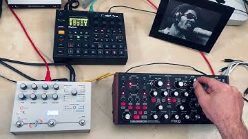 Moog Subharmonicon with Microcosm and Digitakt