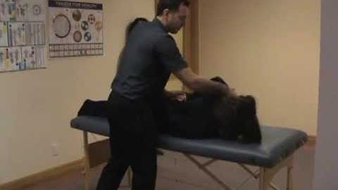 Touch For Health Level 4, 42 Muscle Testing Demonstration Part 1