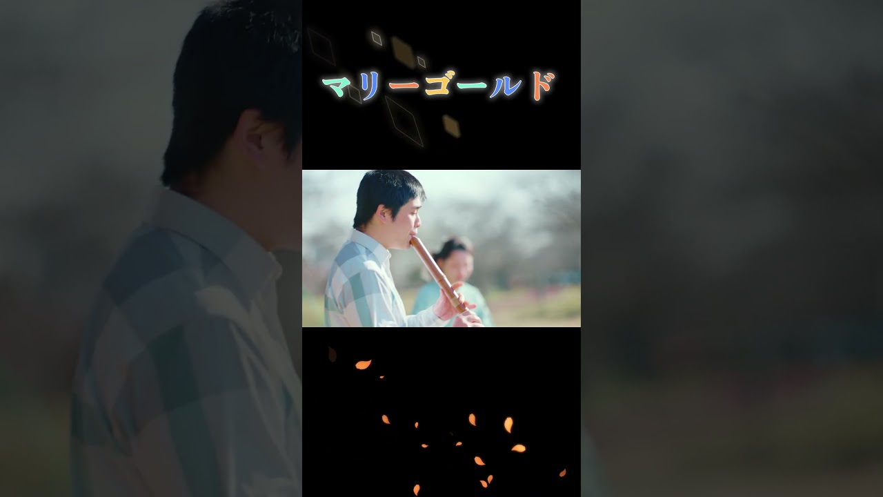 和楽器でマリーゴールド #和楽器