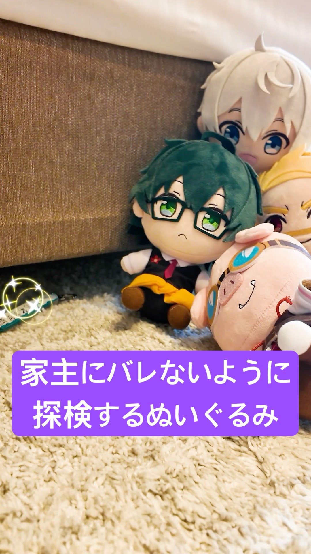 マイロパンダとシャネルクッション　ぬいくあ シナダ SHINADA ぬいぐるみ もちねこ クツシタ(M) MONE-0230K