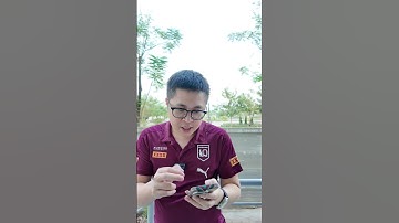 Đồng Hồ Zetime | Lỗ Vũ