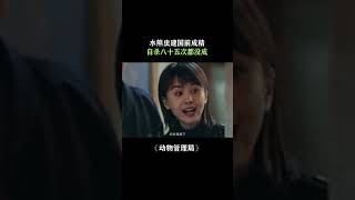 #动物管理局 建国后不允许成精，可人家是建国前成精的啊！#好剧推荐 #陈赫 #王子文 #张子贤