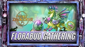Florabud Gathering - Merge Dragons Event