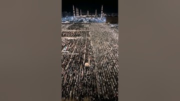 دعاء ختم القرآن الكريم للآباء والأمهات من المسجد النبوي الشريف ليلة 29 رمضان 1445 هجري #ليلة_القدر