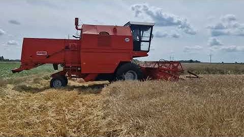 Żniwa 2025 Bizon Rekord w akcji