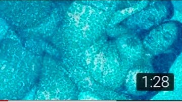 How To Joint Picture Editing change green Background in Photoshop cc.#photoshoptutorial 4k #ps tech