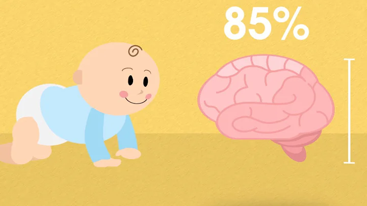 How DHA Benefits Your Child’s Brain Growth | What is DHA? | Enfamil A+ Canada - DayDayNews