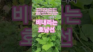 비내리는 호남선  #이미자#손인호#트로트#1957손인호인생곡ㆍ최고인기히트애창곡