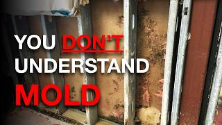 You DON'T Understand MOLD In Buildings!