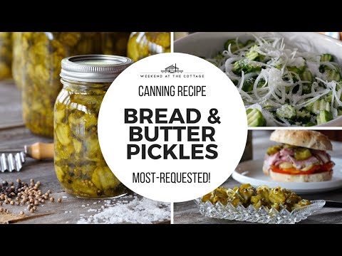 The best BREAD & BUTTER PICKLES!