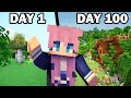 100 days in a minecraft world