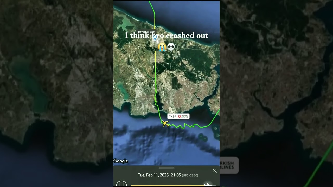 Was there a spider in the plane?☠️✨️ 