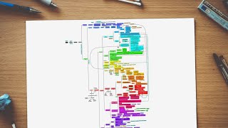 Embryology Mindmap, Germ layer Flowchart