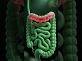 The Anger Your Gut is Holding Onto #diverticulitis #guthealth  #traumainformed