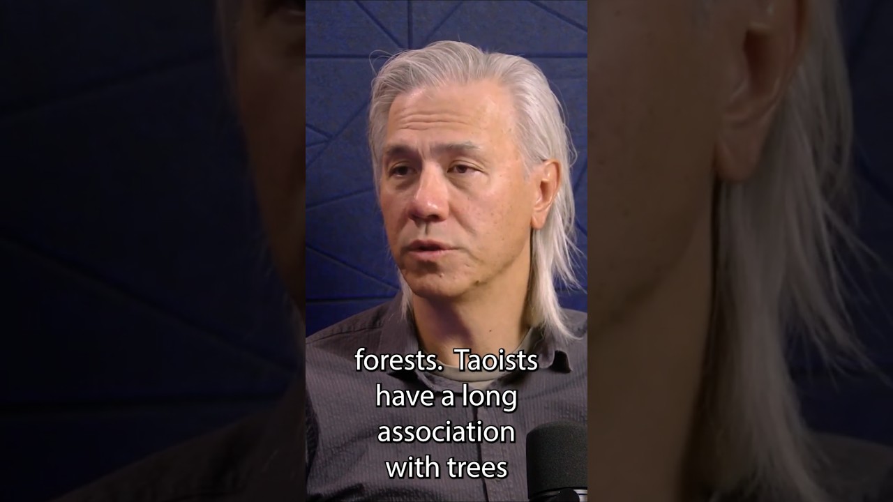 Вы новый даос? Вот как начать практику. Погрузитесь в природу 