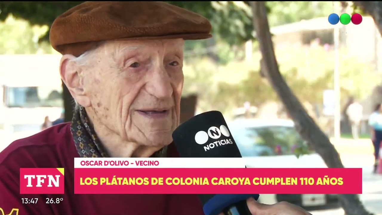 Los plátanos de Colonia Caroya cumplen 110 años: su historia contada por un vecino