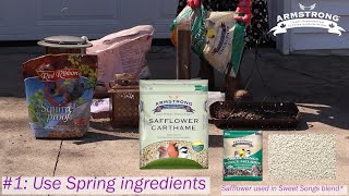 Spring bird food Safflower seed