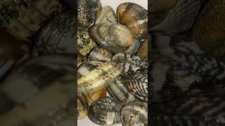 cuisine_rapide recette aux moule