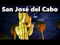 ¿Qué hacer en San José del Cabo? | Los Cabos, Baja California Sur (1 de 2) | México