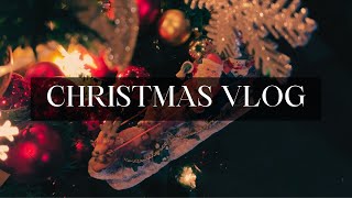A Christmas vlog: Holidays with family, face reveal, wild voices