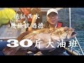 【香港釣魚】 《西貢高佬艇尋找30斤大油斑幾條就過擔》《Offshore Grouper Fishing》
