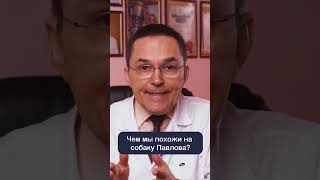 Как формируется условный рефлекс? #shorts