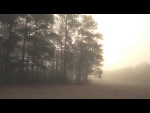 Ludovico Einaudi - Seven Days Walking / Day One - Low Mist