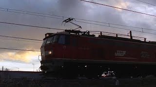 ﾚｯﾄﾞｻﾝﾀﾞｰEF510-19牽引高速貨物3097ﾚ　広島→新潟