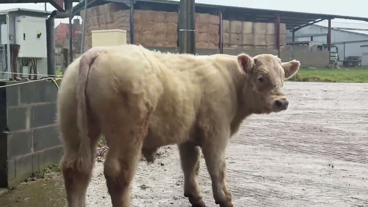 Lot 8 - GAEC Micaud 2026