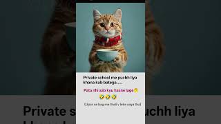 so insulting 🥹🥹||#relatable #lofichill #tweetreels #asthetic #funny #cat #new