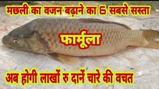 मछली का वजन बढ़ाने के 6 सस्ते फार्मूला|machhli ka vajan kaise badhaye|how to increase fish weight ?