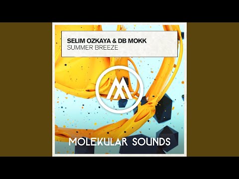 Summer Breeze (Extended Mix)