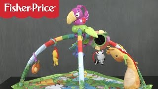 Fisher-Price Music and Lights Deluxe Rainforest Gym Playset 
