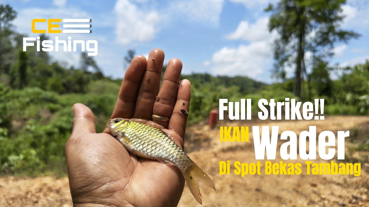Full STRIKE Ikan Wader!! Memancing Jadi Semakin Seru Bila Spot Seperti Ini
