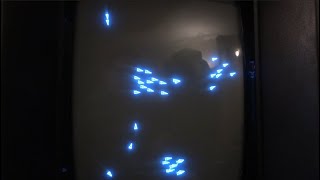 Famous Vectrex Flocking Part 1 Net Worth
