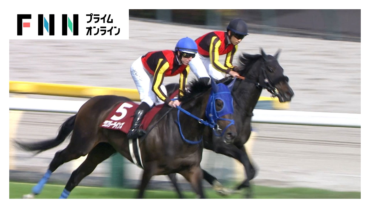 【フローラS・G2＆マイラーズC・G2】ラフターラインズが重賞初制覇！京都ではG1馬アドマイヤズームが復活の勝利！