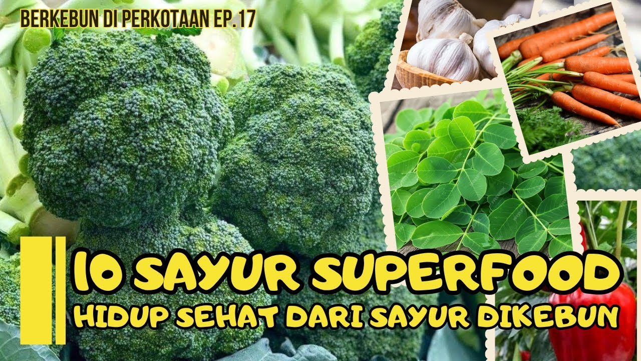 10 Sayur Superfood | Hidup Sehat Dari Sayur di Kebun